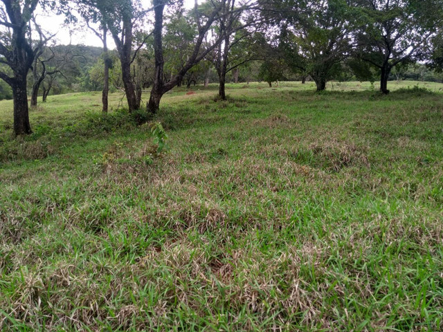 Fazenda em claudio Fazenda em claudio