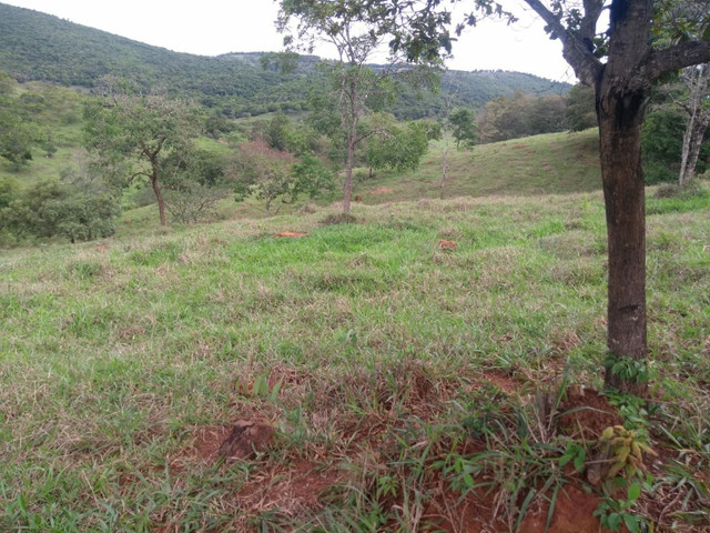 Fazenda em claudio Fazenda em claudio