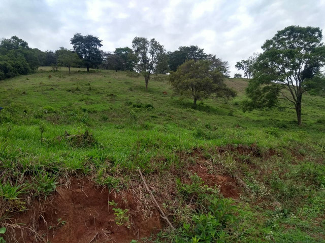 Fazenda em claudio Fazenda em claudio