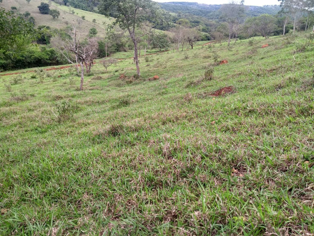 Fazenda em claudio Fazenda em claudio
