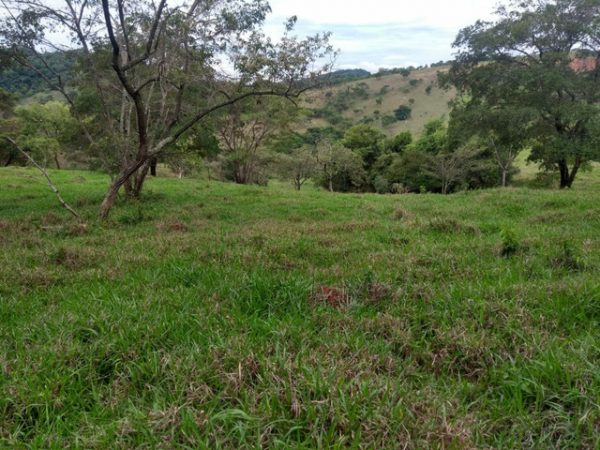 Fazenda em claudio