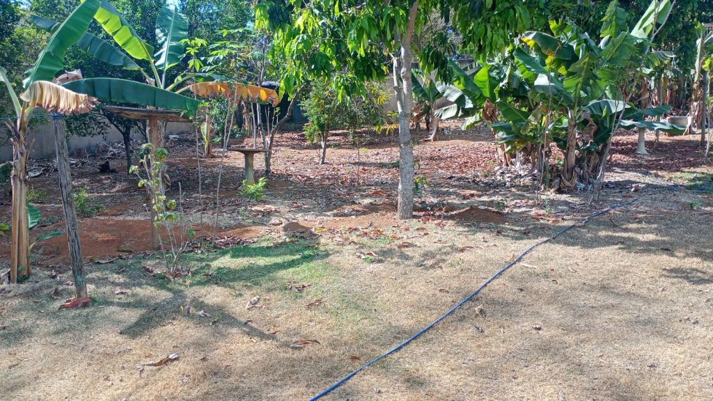 Sítio bairro lagoa dos mares